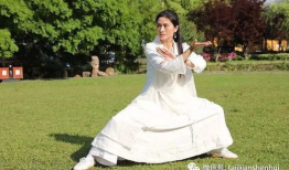 初学太极拳入门基本功视频教程,基本功视频教程精华概览