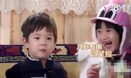 娱乐圈吃瓜八卦,揭秘明星背后的秘密与八卦